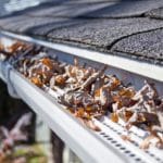 Clogged Gutters
