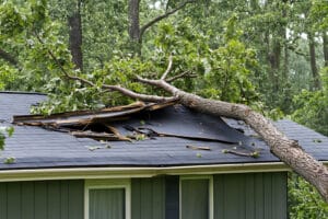 damaged roof