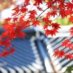 Fall Roof Maintenance Tips