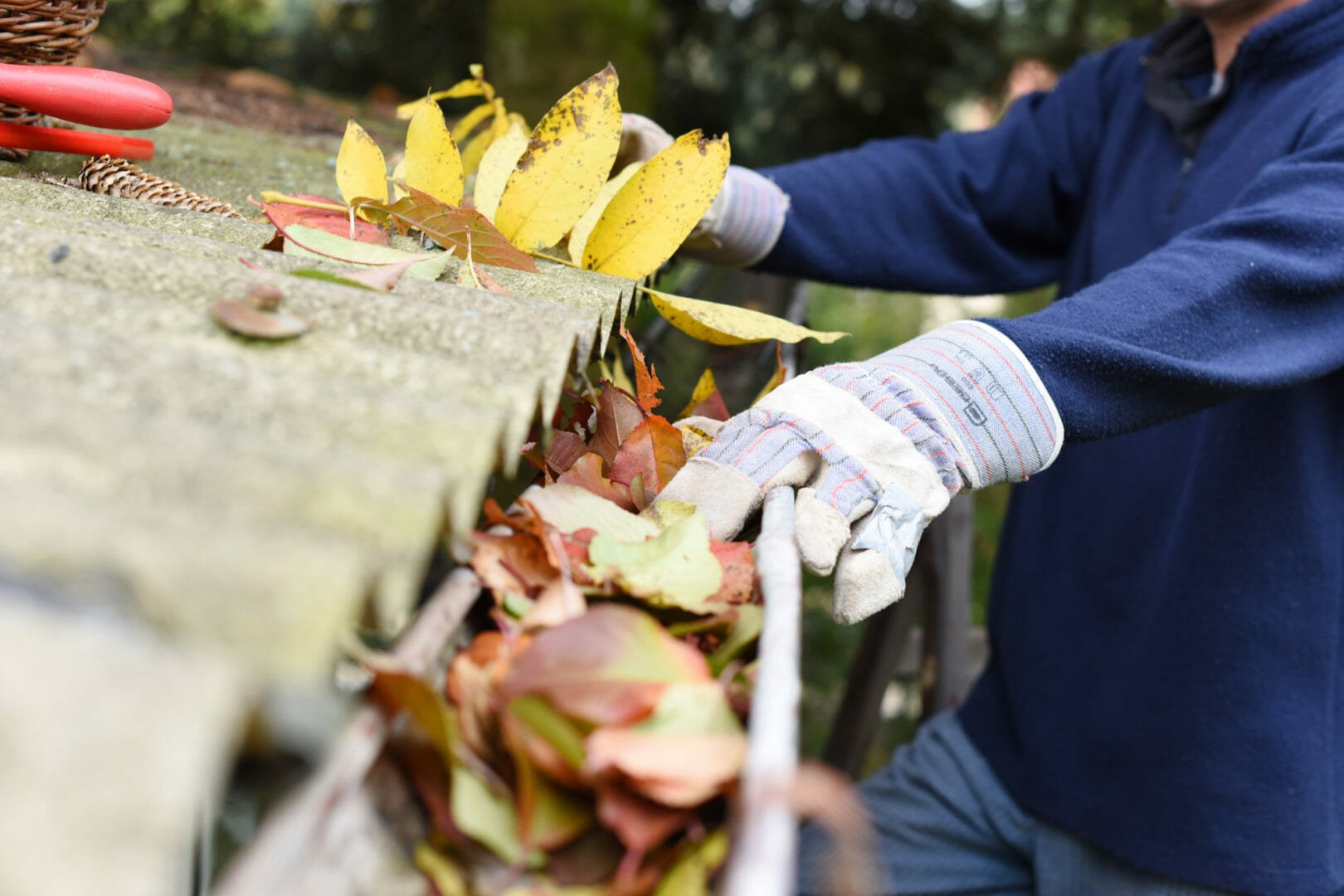 Gutter Maintenance Tips to Protect Your Home This Autumn