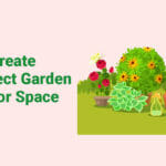 How To Create The Perfect Garden Or Outdoor Space
