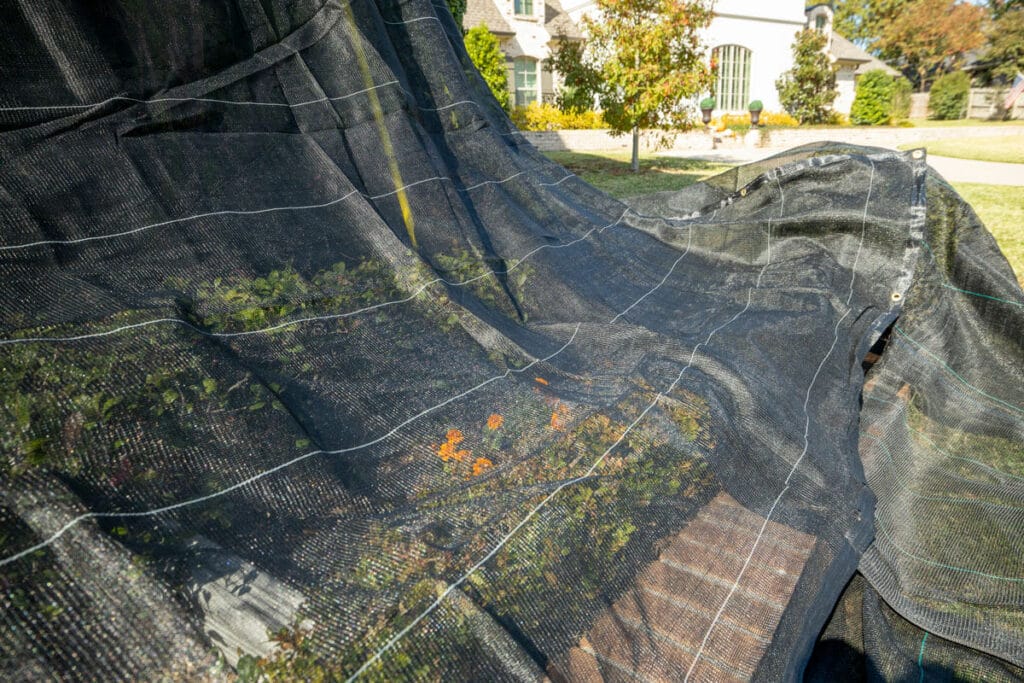 How We Protect Your Home Plants