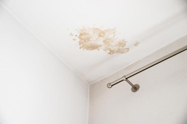 Water Stains on Your Ceiling