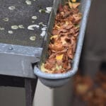 gutter cleaning