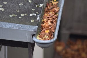 gutter cleaning