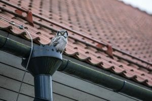 gutters in Prince Frederick