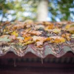 roof fallen leaves