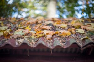 roof fallen leaves